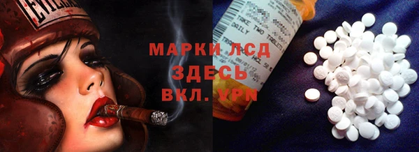 стафф Козловка