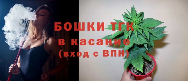 стафф Козловка