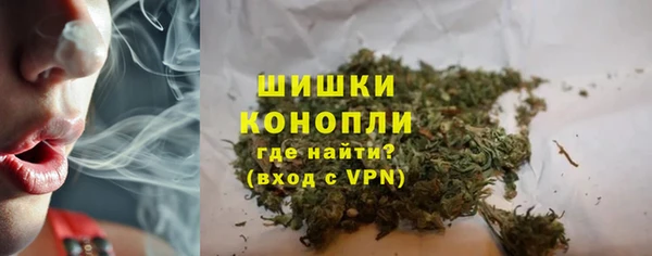 стафф Козловка