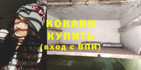 стафф Козловка