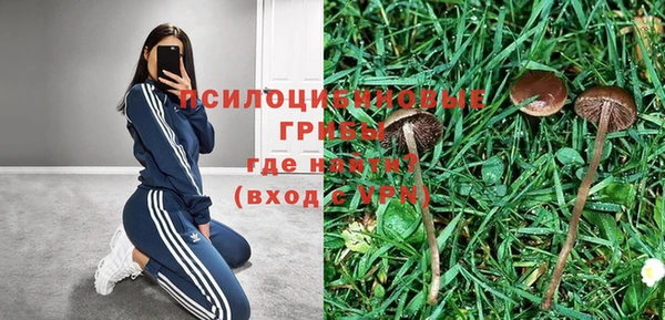 мескалин Козельск